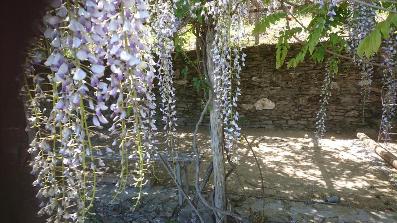 Le Mercou En Cevennes Saint-Martin-de-Boubaux Exteriör bild