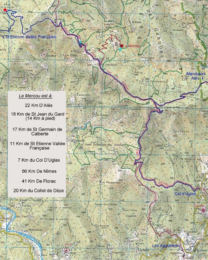 Le Mercou En Cevennes Saint-Martin-de-Boubaux Exteriör bild