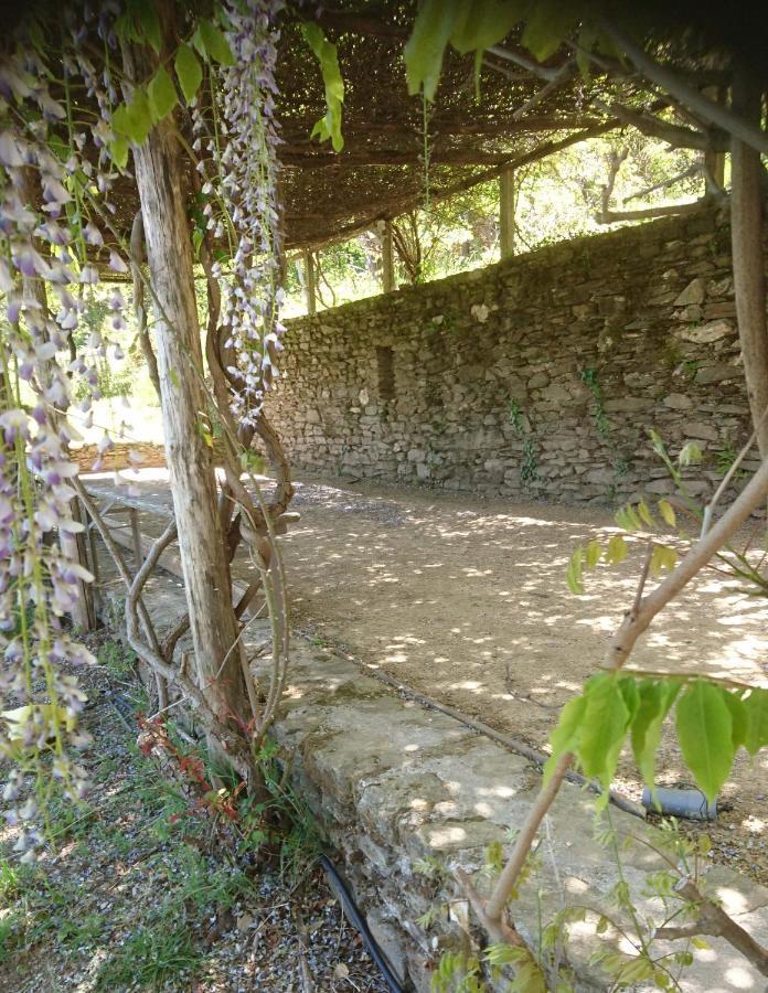 Le Mercou En Cevennes Saint-Martin-de-Boubaux Exteriör bild